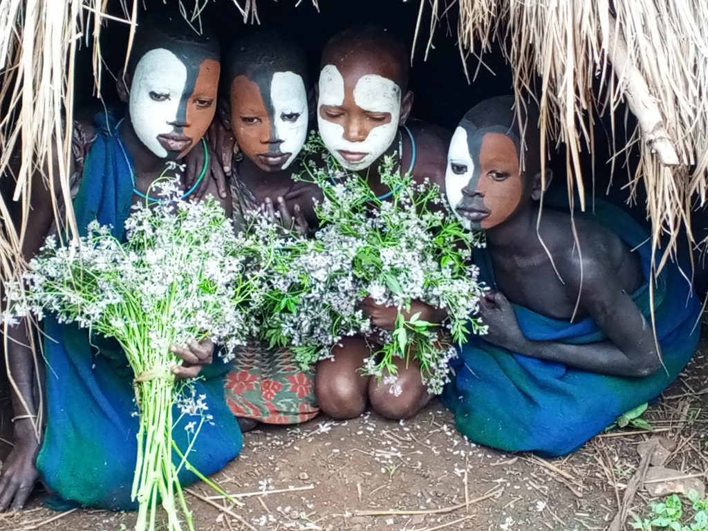 Tour packages in Ethiopia with Amplitude Tour & Travel Travelers exploring Ethiopia cultural tour Adventure tour in Ethiopia Guided Ethiopia holiday trip Ethiopia travel and tour experience Group travelers on Ethiopia tour package Historic sites included in Ethiopia travel packages