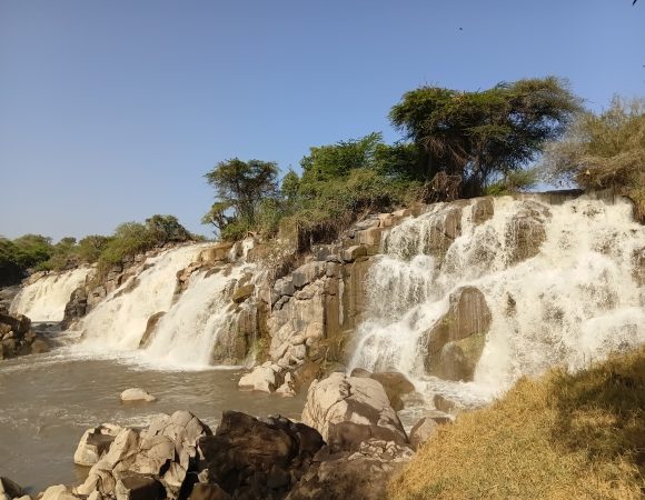 Awash National Park tour | Ethiopia Safari & Wildlife Experience