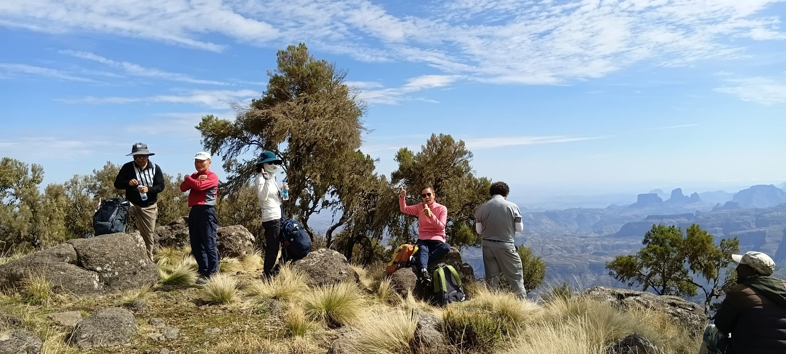 Simien Mountains trekking Ethiopia
Gelada baboons Simien Mountains National Park
Ethiopia highland trekking adventure
Simien escarpment panoramic view Ethiopia
UNESCO World Heritage Simien Mountains