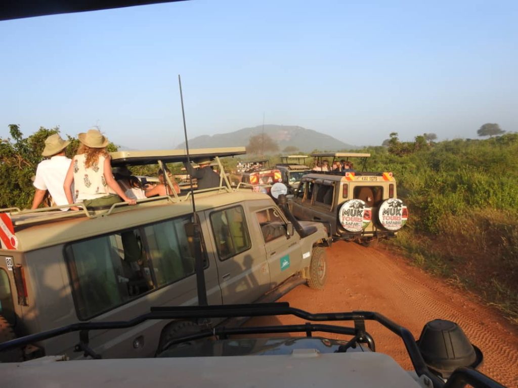 Ethiopia Omo Valley tribal culture safari
Lalibela rock-hewn churches Ethiopia
Masai Mara wildlife safari Kenya
Lake Chamo crocodiles Ethiopia boat tour
Samburu National Reserve Kenya safari