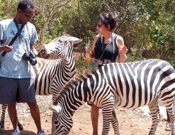 Ethiopia Kenya safari | 14-Day Cultural & Wildlife Adventure